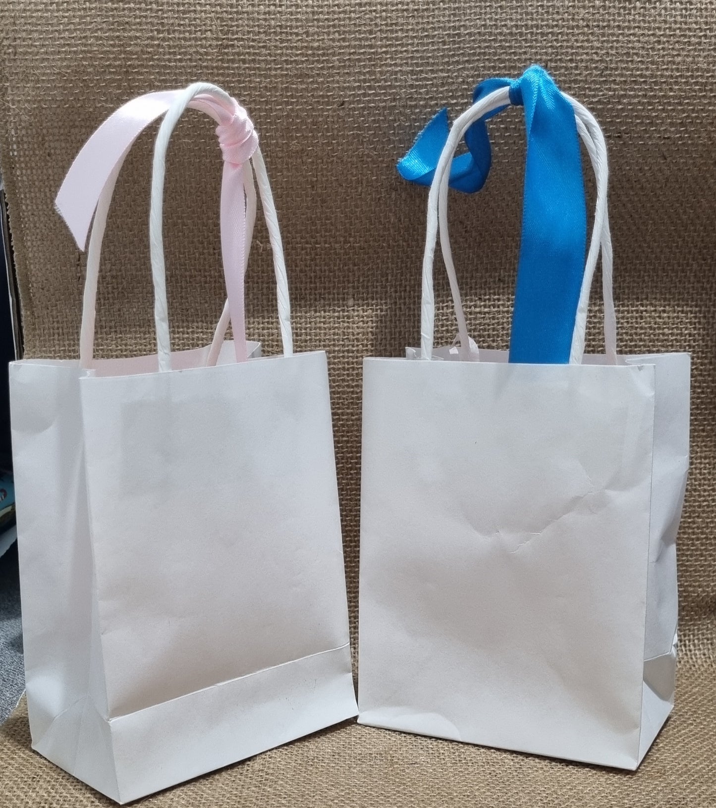 Mystery Bags