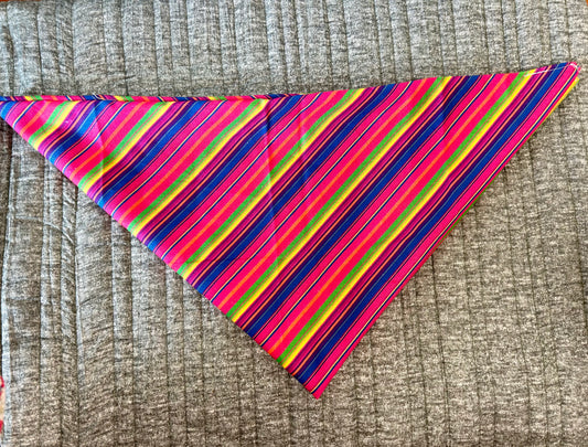 Neck Scarf Combo