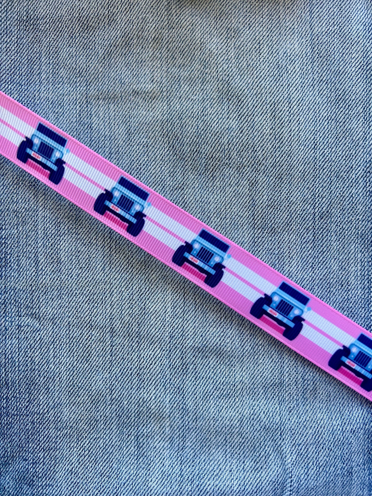 Ribbon Dummy Clips