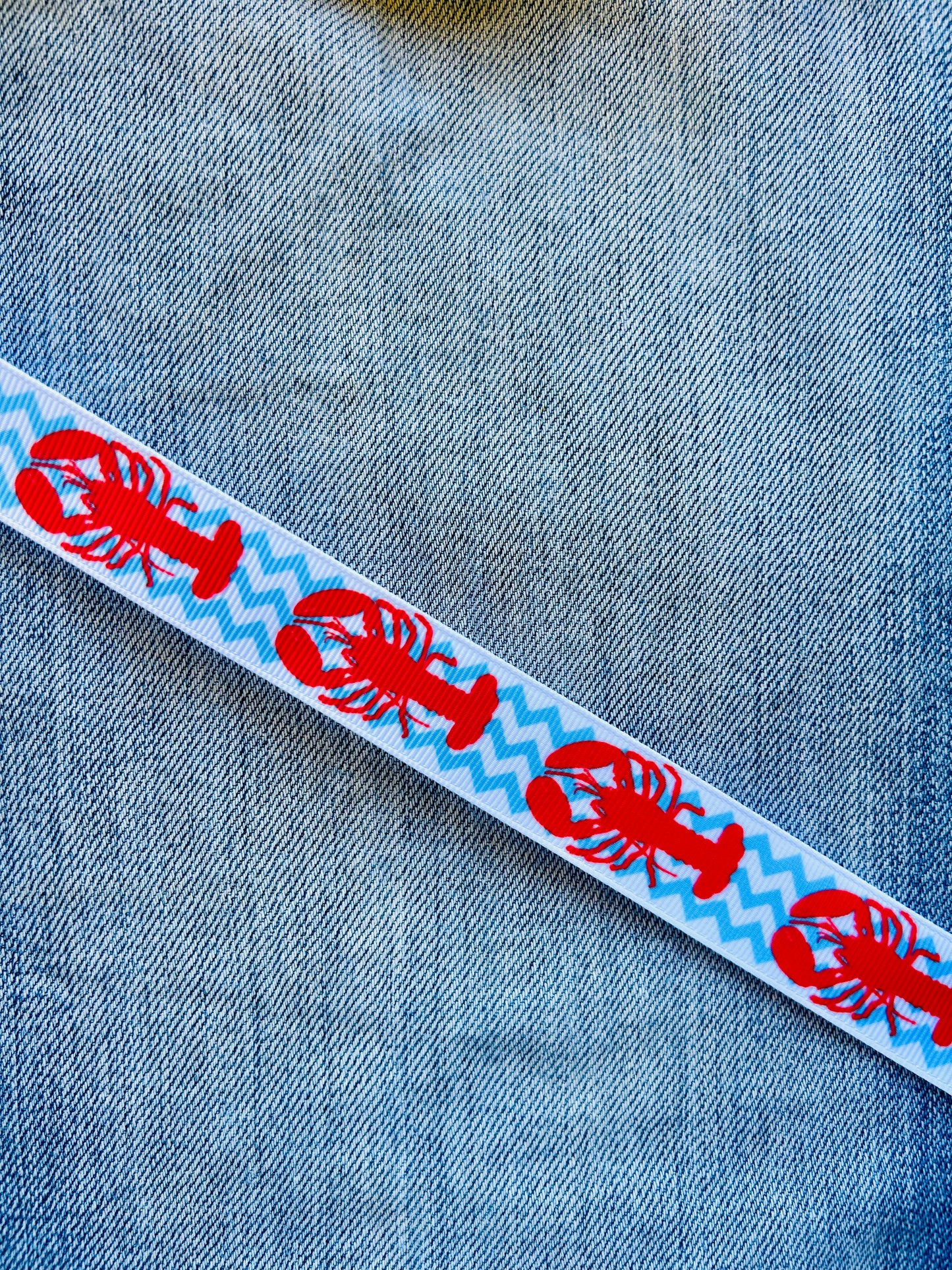 Ribbon Dummy Clips